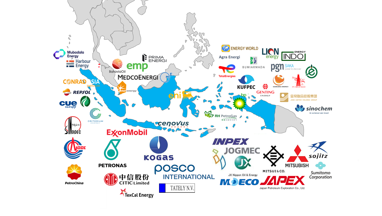 Indonesia - Company landscape