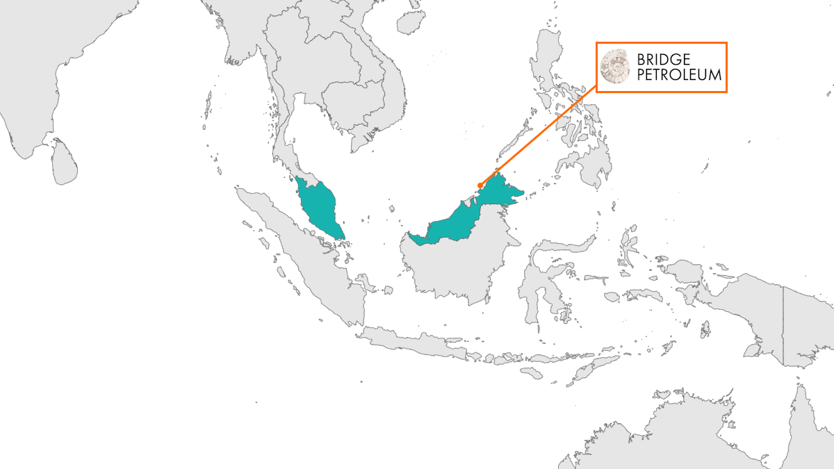 MBR 2025 - Third DRO award