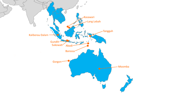 CCUS and upstream projects - The cost of "doing the right thing"